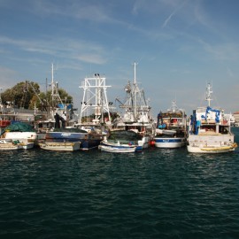 Fischerboote in Zadar, Kroatien