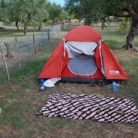 Zelt unter Olivenbäumen