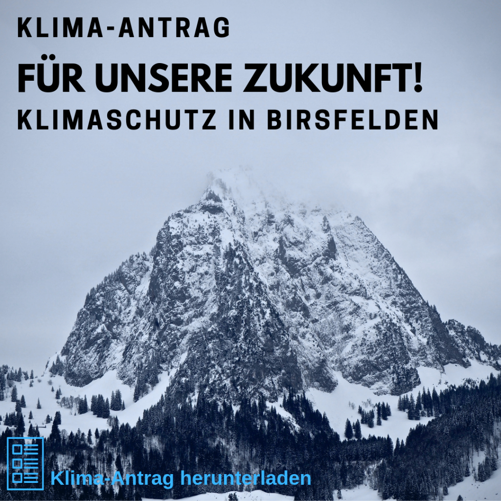 Klima-Antrag: Für unsere Zukunft! Klimaschutz in Birsfelden. Klima-Antrag herunterladen
