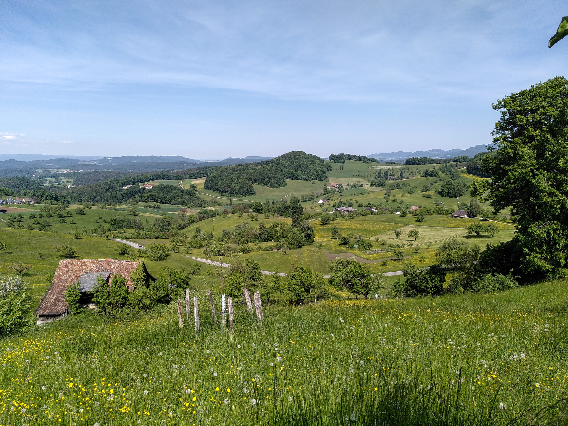 Biodiversitätsinitiative schützt unsere Lebensqualität